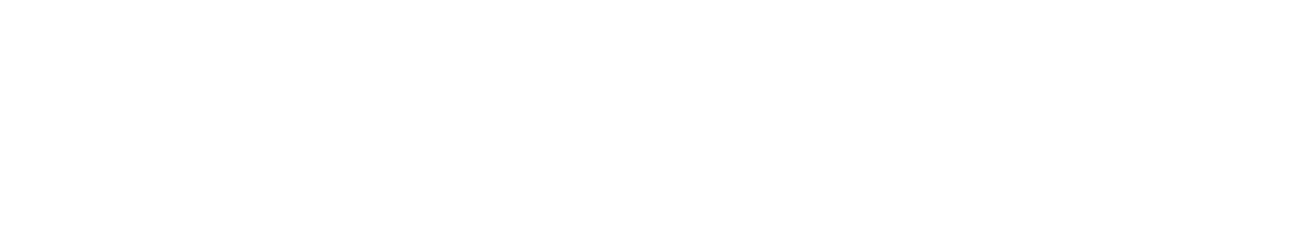 Network X 2026